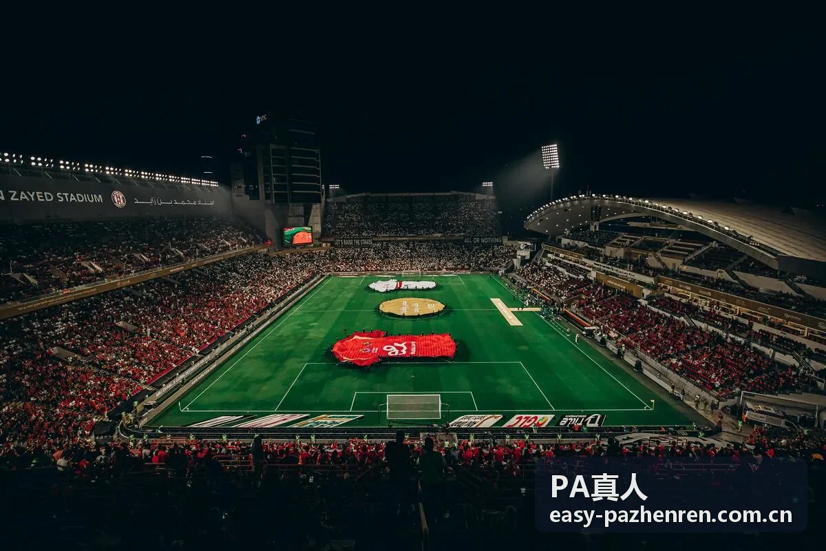 PA真人服务流程详解配图